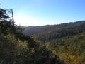 Olmo Fire Road - First view of the Pacific
